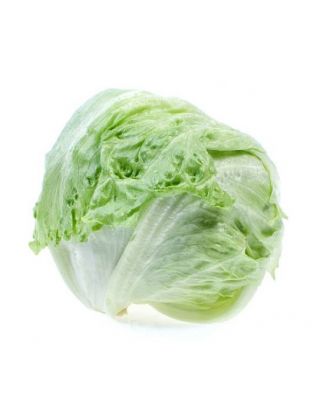 Iceburg Lettuce 24 Heads