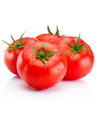 Tomatoes